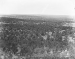 Oil fields; air view of oil derricks scattered among tree covered landscape, location not identified by Basil Clemons 1887-1964