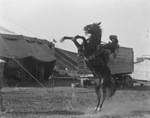 Cowgirl on rearing horse, Al G. Barnes Circus, Breckenridge, Texas by Basil Clemons 1887-1964