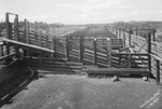 Cattle chutes and platforms, near Breckenridge, Texas by Basil Clemons 1887-1964