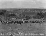 "Part of the Walker herd of thoroughbred, Breckenridge, Texas" by Basil Clemons 1887-1964