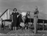 "Grand Champion Bull "Domino Lad 9th," bred and exhibited by the R. J. Carey's at the Stephens County Producers Show, Breckenridge, Texas" by Basil Clemons 1887-1964