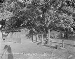 "In the shade of the giant oaks, Buffalo Gap, Texas, Presbyterian's Encampment Park" by Basil Clemons 1887-1964