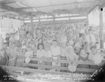 "Old fashion Basket Dinner Day with the Pentecostal Assembly of Jesus Christ in the arbor back of the laundry at 600 Breckenridge Ave., Breckenridge, Texas, E. W. Copeland preaching" by Basil Clemons 1887-1964