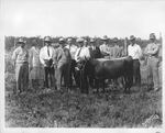 Ranchmen standing in field with bull by Basil Clemons 1887-1964