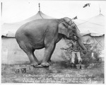 Circus in Breckenridge, Texas, 1926 by Basil Clemons 1887-1964