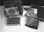 Two Christmas-themed boxes of King's Chocolates by Bill Wood Photo Company