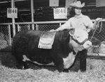 Ann White kneeling behind State Fair Champion cow by Bill Wood Photo Company