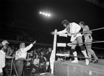 Wrestling at Will Rogers Coliseum; Kerry and David Von Erich, Buddy Roberts by Cirrus Bonneau