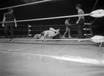 Wrestling at Will Rogers Coliseum; Kevin Von Erich by Cirrus Bonneau