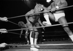 Wrestling at Will Rogers Coliseum, Fort Worth, Texas by Cirrus Bonneau