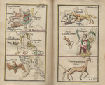 Atlas Portalis Coelestis - table 26 and 27 by Johann Christoph Weigel and Johann Rost