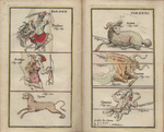 Atlas Portalis Coelestis - table 30 and 31 by Johann Christoph Weigel and Johann Rost