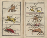 Atlas Portalis Coelestis - table 32 and 33 by Johann Christoph Weigel and Johann Rost