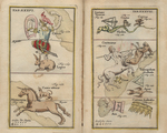 Atlas Portalis Coelestis - table 36 and 37 by Johann Christoph Weigel and Johann Rost