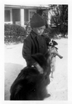 Young boy with dogs in the snow