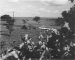 The Johnson Cemetery, clean-up