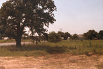 Site of Sublet School at Cooper and Sublet Rd., Arlington, Texas by Nancy Bennett