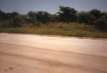 Site of Fish Creek School, Nathan Lowe Rd., Arlington, Texas by Nancy Bennett