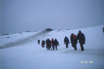 Group hiking in Antarctica.