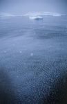 Charlotte Bay in Antarctica. by David Finfrock