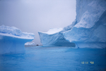 Iceberg cruise at Charlotte Bay in Antarctica. by David Finfrock
