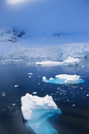 Coastline in Antarctica. by David Finfrock