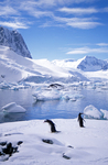 Pleneau Island in Antarctica.