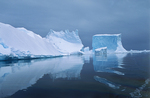 Coastline in Antarctica. by David Finfrock