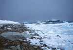 Neko Harbor in Andvord Bay in Antarctica.