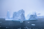 Iceberg near González Videla Base in Antarctica. by David Finfrock