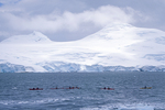 Kayakers at Two Hummock Island in Antarctica.