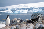 Two Hummock Island from Hydrurga Rocks in Antarctica.