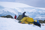 Camping at Enterprise Island in Antarctica. by David Finfrock