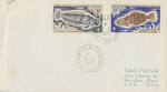 France Antarctica Territory Postal Cover by David Finfrock