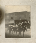 Horses "Babe" and "Racer" used to pull hearse carriages