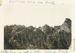Pikes National Forest