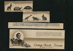 Scrapbook Pages