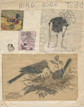 "Bird Book Todd" Scrapbook by Todd Hayataka