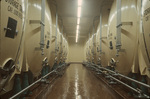 Room full of storage tanks, Carling Brewery