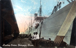 Loading Cotton, Galveston, Texas