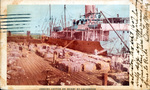 Loading Cotton on Wharf at Galveston