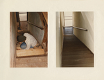 Wooden Stairs: Before and After
