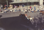 Caretakers and Ponies at Parade
