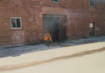 Fire inside the Stockyards Mule Barn