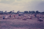 People sitting on bales of hay