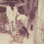 Photograph with Dogs