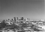 Fort Worth Skyline by Donald M. Cohen