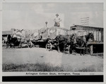 Arlington Cotton Dock, Arlington, Texas