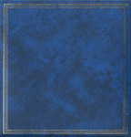 Texas Bluebonnet Chapter, Daughters of the American Revolution Scrapbook, 1989