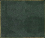Texas Bluebonnet Chapter, Daughters of the American Revolution Scrapbook, 2016-2018
